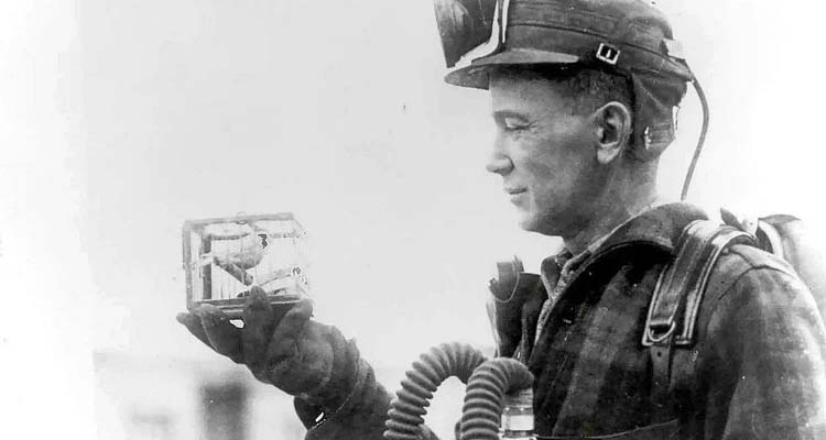 Creators In The Coal Mine