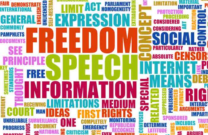 In Support Of The First Amendment