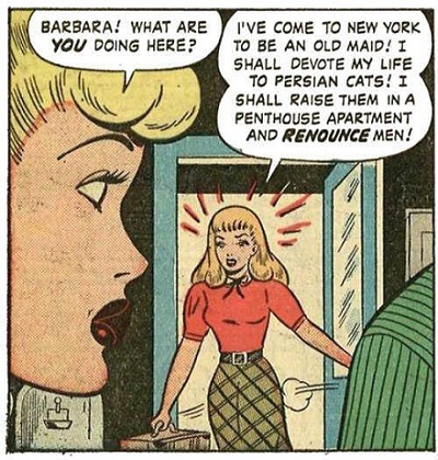 Being A Persian Cat-raising Old Maid